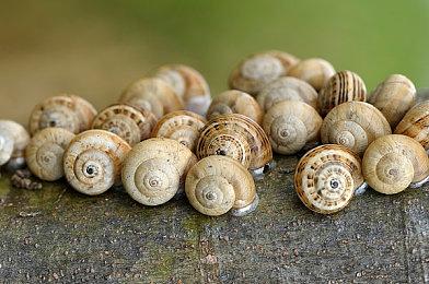 《心灵杀手2》与《心灵杀手1》对比 画面进化技术飞跃